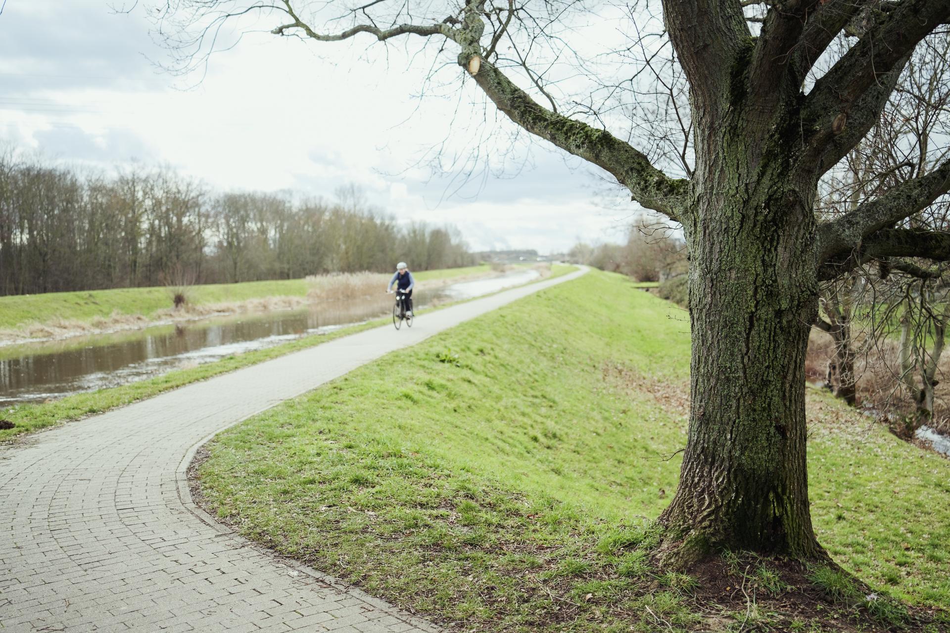 Eine Person fährt Fahrrad auf einem Damm entlang eines Flusses.